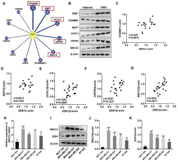 https://cdn.ncbi.nlm.nih.gov/pmc/blobs/d280/11090844/c382234c43b4/t1.jpg