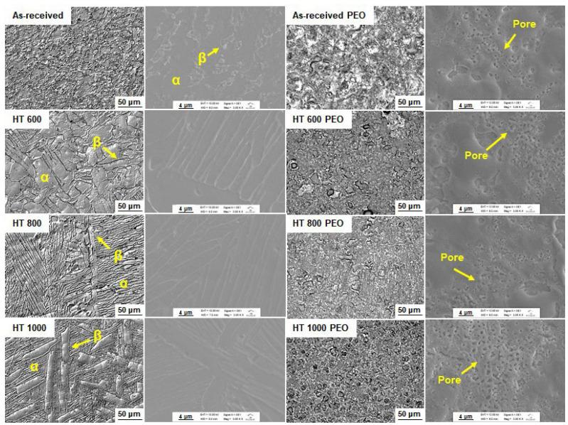 https://cdn.ncbi.nlm.nih.gov/pmc/blobs/d282/11901143/5f4e5b58a284/materials-18-00955-g003.jpg