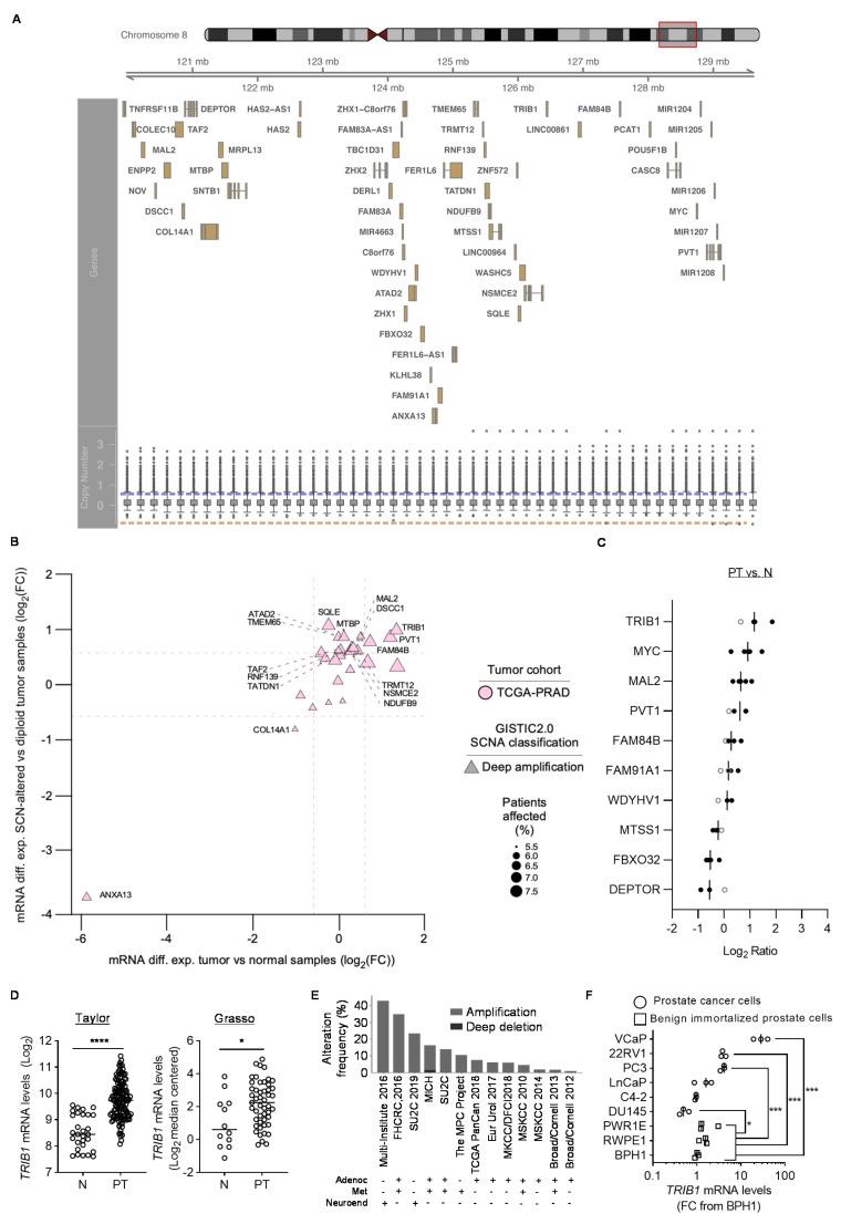 https://cdn.ncbi.nlm.nih.gov/pmc/blobs/d282/7565426/663a2ab0389e/cancers-12-02593-g001.jpg