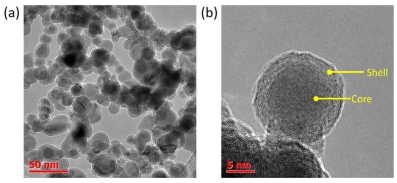 https://cdn.ncbi.nlm.nih.gov/pmc/blobs/d282/9414223/6ffba7c5b38c/nanomaterials-12-02869-g001.jpg