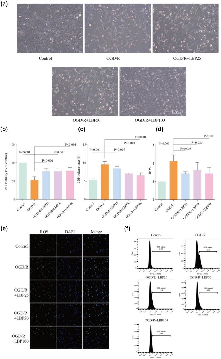 https://cdn.ncbi.nlm.nih.gov/pmc/blobs/d283/12258424/ec0d1eed0d6b/j_tnsci-2025-0377-fig001.jpg