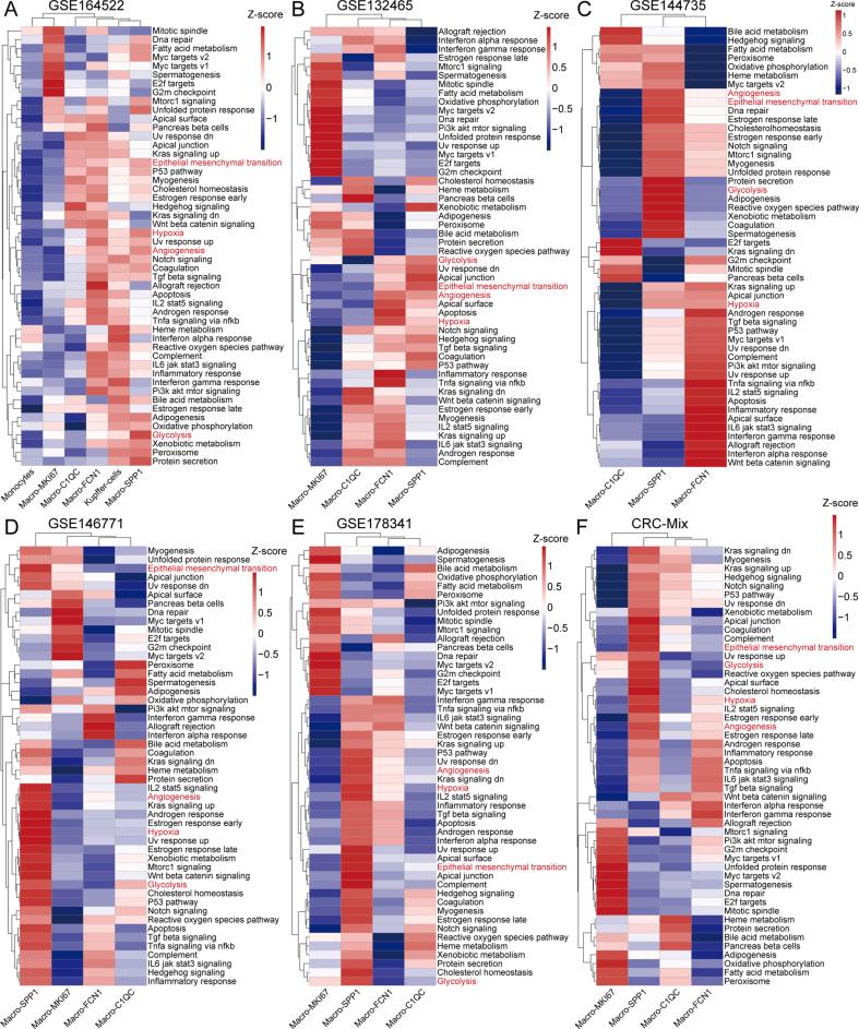 https://cdn.ncbi.nlm.nih.gov/pmc/blobs/d284/11907465/19272a82fc63/figs2.jpg