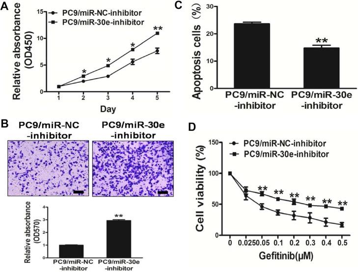 https://cdn.ncbi.nlm.nih.gov/pmc/blobs/d284/5354855/87e315fc9e88/oncotarget-08-4572-g004.jpg