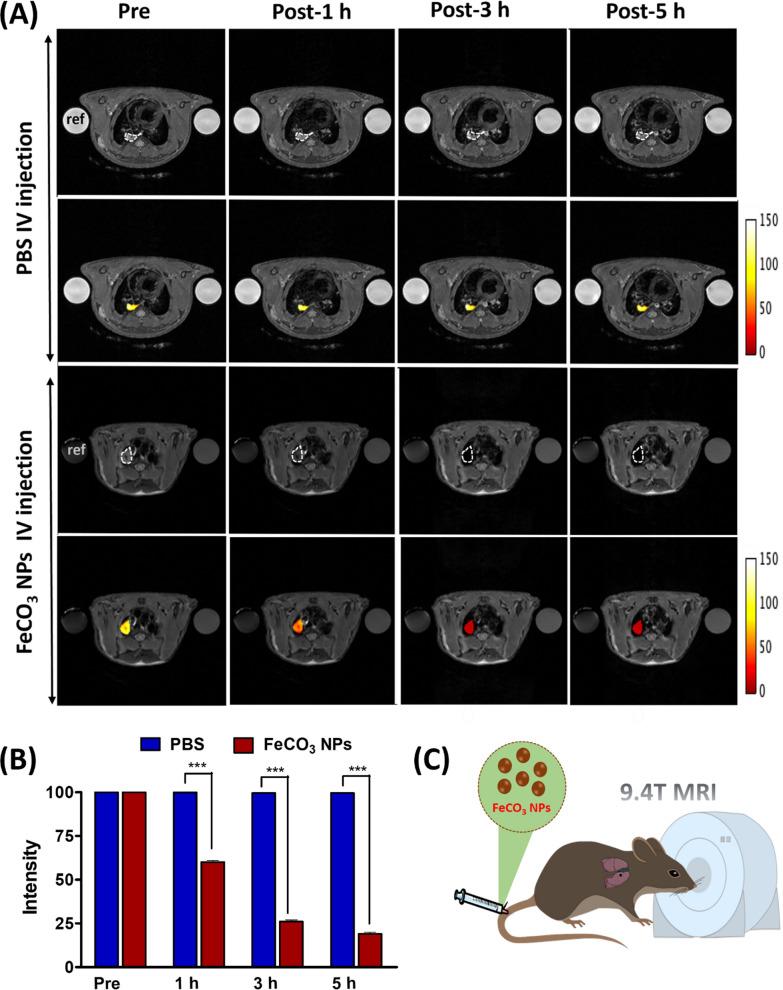 https://cdn.ncbi.nlm.nih.gov/pmc/blobs/d284/8952886/ad62deea1e2c/12951_2022_1355_Fig3_HTML.jpg
