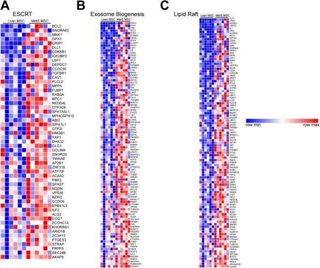 https://cdn.ncbi.nlm.nih.gov/pmc/blobs/d285/6767891/3933124f742e/10.1177_0963689719860840-fig3.jpg