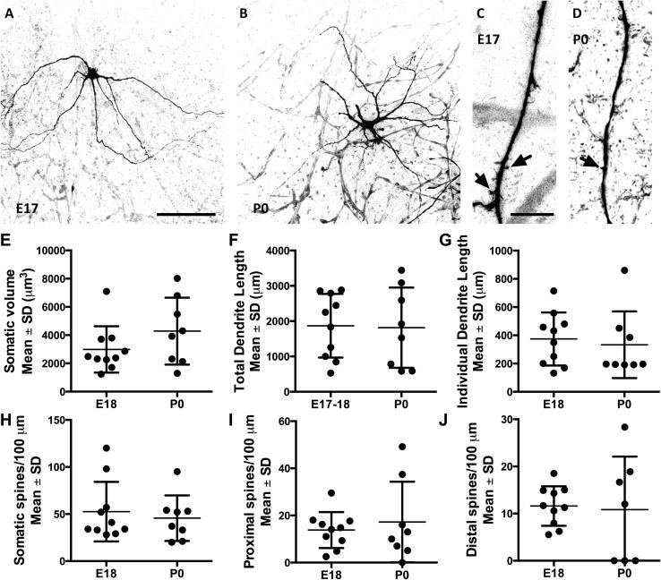 https://cdn.ncbi.nlm.nih.gov/pmc/blobs/d286/5009180/5b5e207e0779/429_2015_1130_Fig3_HTML.jpg