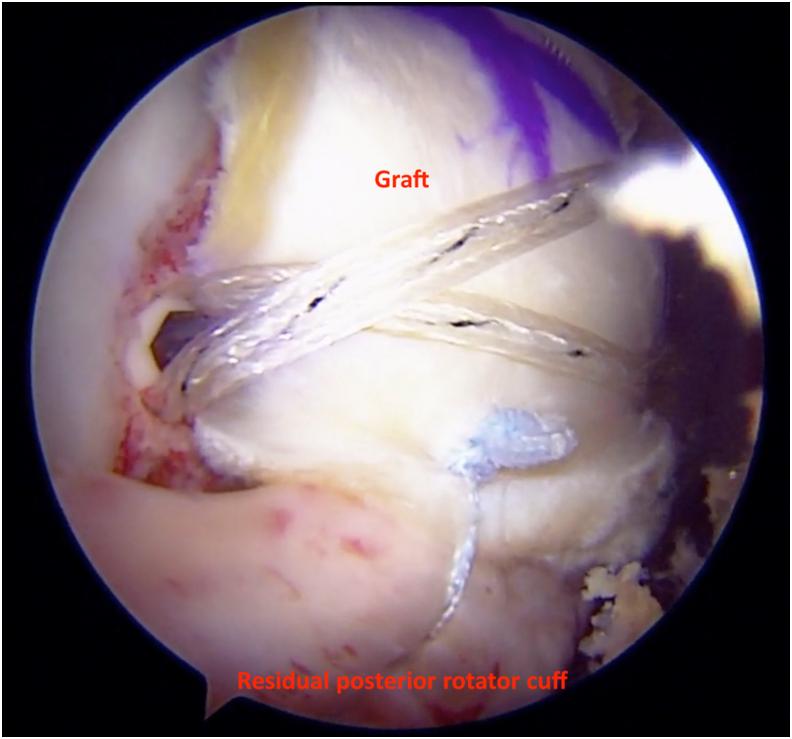 https://cdn.ncbi.nlm.nih.gov/pmc/blobs/d286/8322624/5b682e3c8446/gr8.jpg