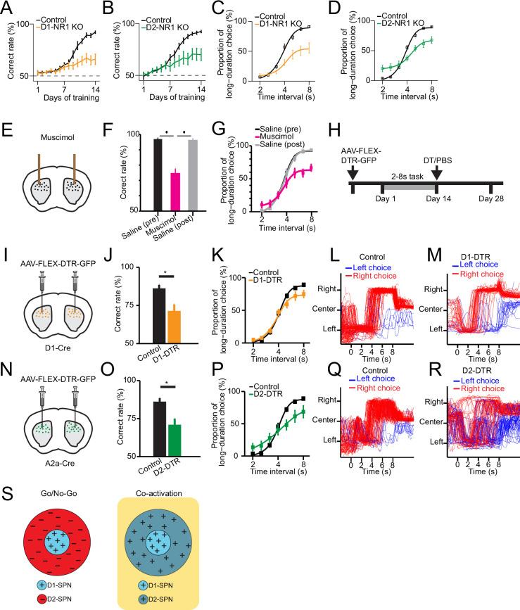 https://cdn.ncbi.nlm.nih.gov/pmc/blobs/d287/10522336/e05f1324f999/elife-87644-fig4.jpg