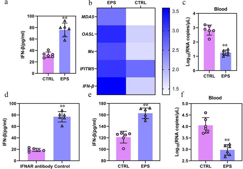 https://cdn.ncbi.nlm.nih.gov/pmc/blobs/d287/9528109/3d0a48cfa577/40168_2022_1348_Fig6_HTML.jpg