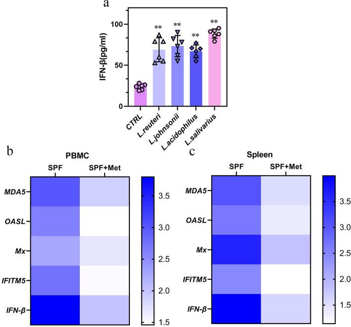 https://cdn.ncbi.nlm.nih.gov/pmc/blobs/d287/9528109/676b0e84546d/40168_2022_1348_Fig7_HTML.jpg