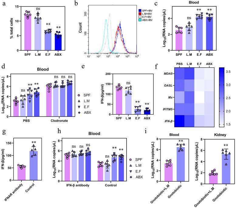 https://cdn.ncbi.nlm.nih.gov/pmc/blobs/d287/9528109/e007b5cb5284/40168_2022_1348_Fig5_HTML.jpg