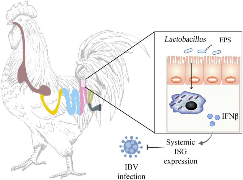 https://cdn.ncbi.nlm.nih.gov/pmc/blobs/d287/9528109/e82d90c913df/40168_2022_1348_Fig8_HTML.jpg