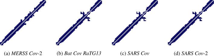 https://cdn.ncbi.nlm.nih.gov/pmc/blobs/d287/9936937/04a41243df41/11734_2023_791_Fig4_HTML.jpg