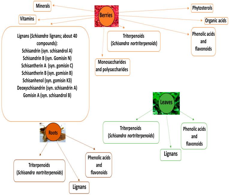 https://cdn.ncbi.nlm.nih.gov/pmc/blobs/d28a/9919427/bd82f082e9f6/nutrients-15-00592-g001.jpg