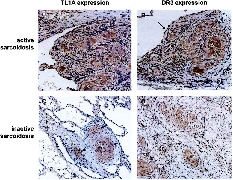 https://cdn.ncbi.nlm.nih.gov/pmc/blobs/d28b/4522997/d8d05cc1ba22/12948_2015_22_Fig3_HTML.jpg