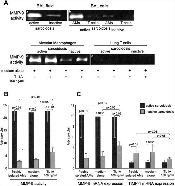 https://cdn.ncbi.nlm.nih.gov/pmc/blobs/d28b/4522997/f19b5edb1737/12948_2015_22_Fig4_HTML.jpg