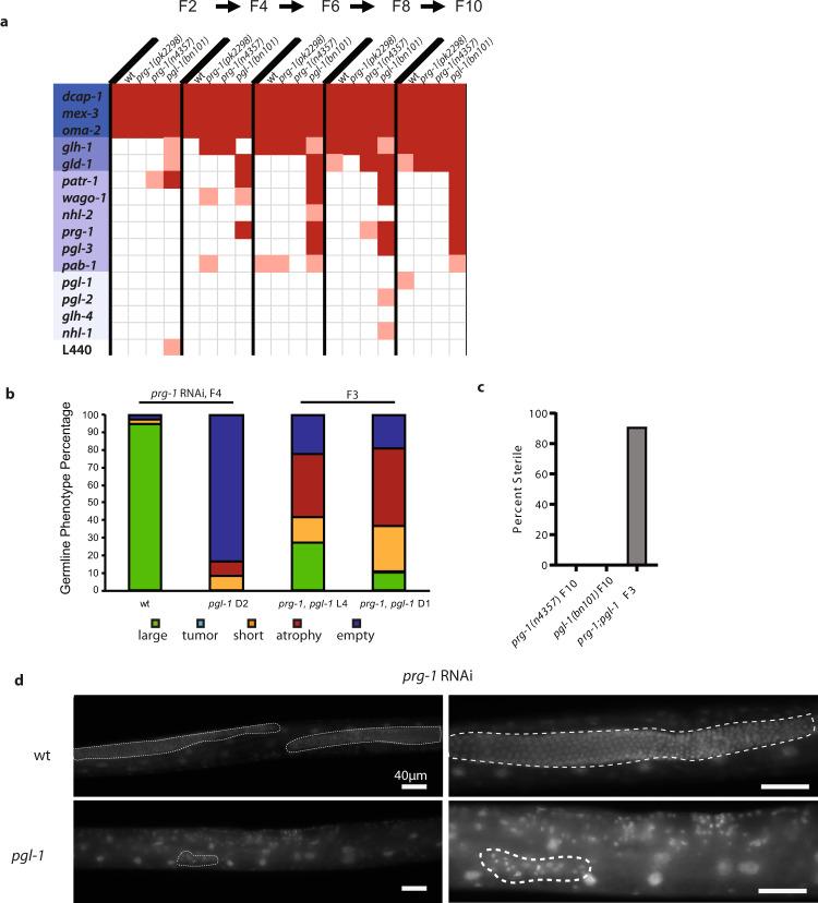 https://cdn.ncbi.nlm.nih.gov/pmc/blobs/d28b/7930041/58ef29586c55/41467_2021_21635_Fig6_HTML.jpg