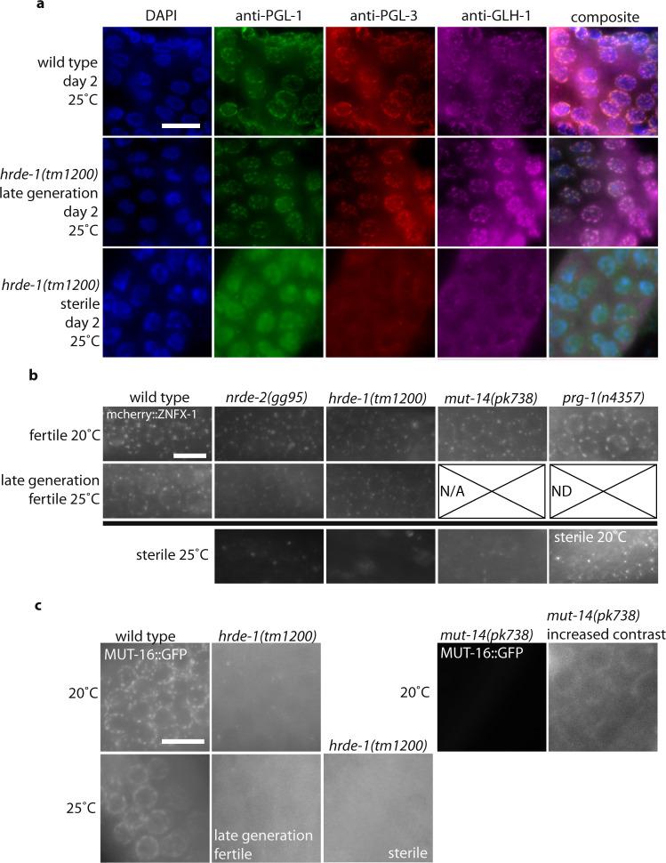 https://cdn.ncbi.nlm.nih.gov/pmc/blobs/d28b/7930041/5bd834e4e47c/41467_2021_21635_Fig3_HTML.jpg