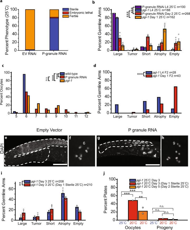 https://cdn.ncbi.nlm.nih.gov/pmc/blobs/d28b/7930041/6c31b5276a19/41467_2021_21635_Fig4_HTML.jpg