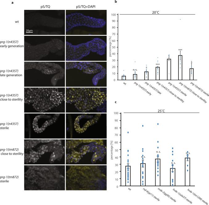 https://cdn.ncbi.nlm.nih.gov/pmc/blobs/d28b/7930041/83f9da222be6/41467_2021_21635_Fig1_HTML.jpg