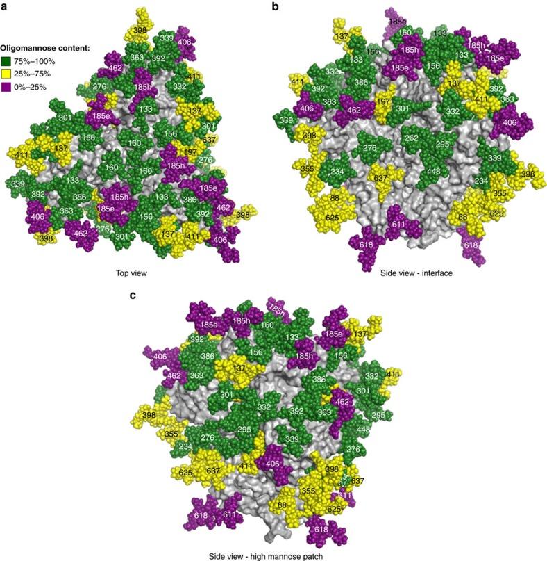 https://cdn.ncbi.nlm.nih.gov/pmc/blobs/d28c/5379070/d6dc035d7fc3/ncomms14954-f2.jpg