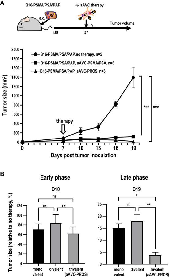 https://cdn.ncbi.nlm.nih.gov/pmc/blobs/d28f/10867576/39b853dcafbc/fimmu-15-1345037-g008.jpg