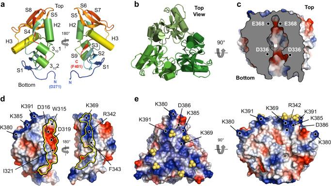 https://cdn.ncbi.nlm.nih.gov/pmc/blobs/d28f/11162425/b6ab5fd083f9/41467_2024_49255_Fig4_HTML.jpg