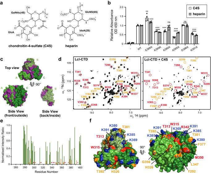 https://cdn.ncbi.nlm.nih.gov/pmc/blobs/d28f/11162425/d5d0c63f0e6f/41467_2024_49255_Fig5_HTML.jpg