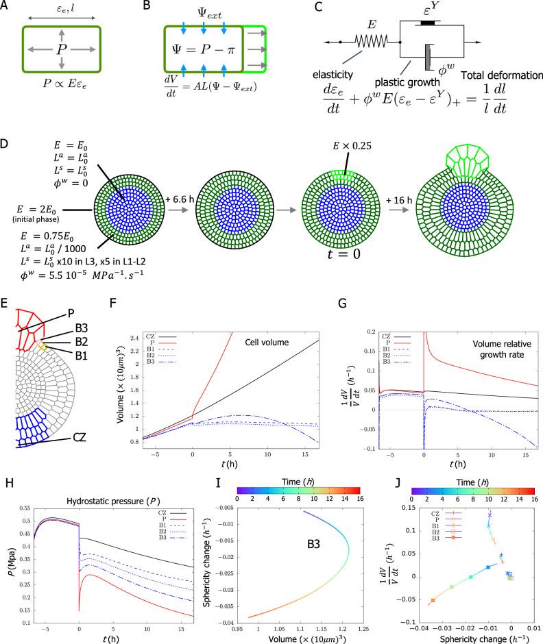 https://cdn.ncbi.nlm.nih.gov/pmc/blobs/d28f/11322635/402b15cf15d2/41467_2024_51099_Fig2_HTML.jpg