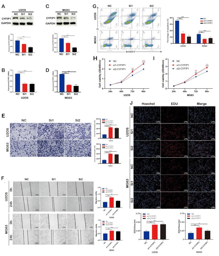 https://cdn.ncbi.nlm.nih.gov/pmc/blobs/d28f/11846196/3641d058d3dc/10020_2025_1127_Fig3_HTML.jpg