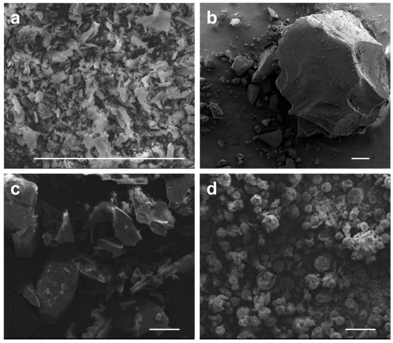 https://cdn.ncbi.nlm.nih.gov/pmc/blobs/d28f/6099545/40a7e24b4051/molecules-23-01169-g005.jpg