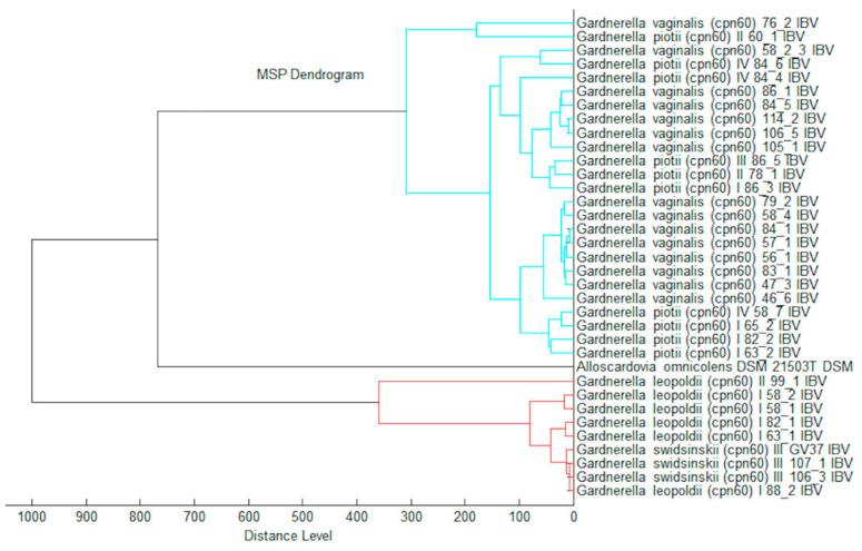 https://cdn.ncbi.nlm.nih.gov/pmc/blobs/d291/7998583/a1a9ca6dde55/pathogens-10-00277-g003.jpg