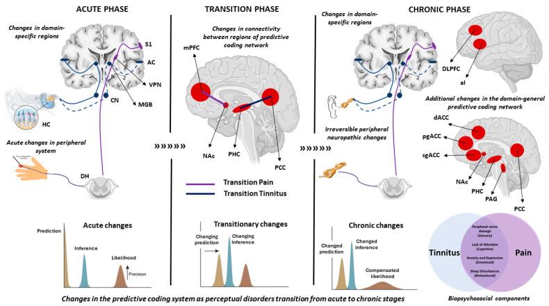 https://cdn.ncbi.nlm.nih.gov/pmc/blobs/d293/10813926/8a93b46b4a41/brainsci-14-00086-g002.jpg