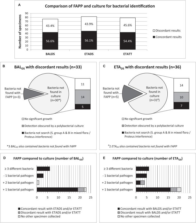 https://cdn.ncbi.nlm.nih.gov/pmc/blobs/d295/7477898/def12912fe49/fmicb-11-02080-g003.jpg