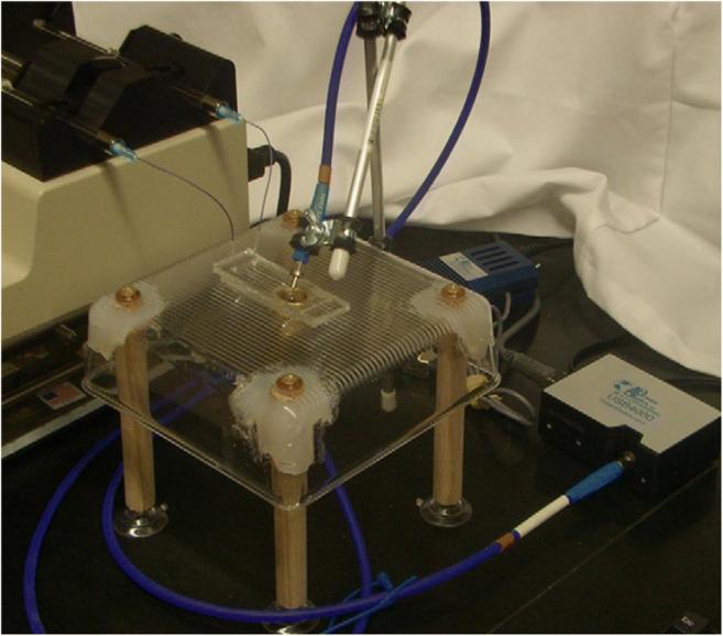 https://cdn.ncbi.nlm.nih.gov/pmc/blobs/d295/7944724/1f0e7dadc16b/42247_2021_195_Fig5_HTML.jpg