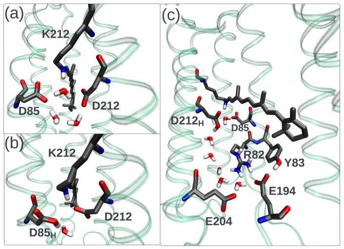 https://cdn.ncbi.nlm.nih.gov/pmc/blobs/d296/10743670/e06234f8dee4/ijms-24-17269-g004.jpg