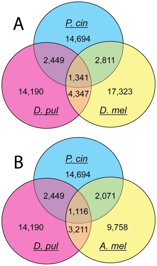 https://cdn.ncbi.nlm.nih.gov/pmc/blobs/d296/2824831/43c7521a79bc/pone.0009327.g005.jpg