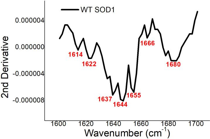https://cdn.ncbi.nlm.nih.gov/pmc/blobs/d296/8087447/0c660a444c06/elife-61453-fig2-figsupp5.jpg