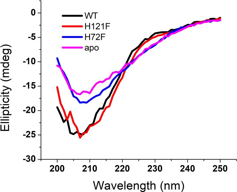 https://cdn.ncbi.nlm.nih.gov/pmc/blobs/d296/8087447/0dd05cafa1ac/elife-61453-fig2-figsupp4.jpg