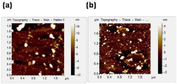 https://cdn.ncbi.nlm.nih.gov/pmc/blobs/d296/8087447/5fc0cda5200c/elife-61453-fig5-figsupp3.jpg