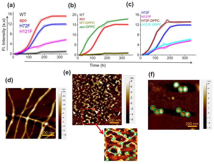 https://cdn.ncbi.nlm.nih.gov/pmc/blobs/d296/8087447/78468dd9bb62/elife-61453-fig3.jpg