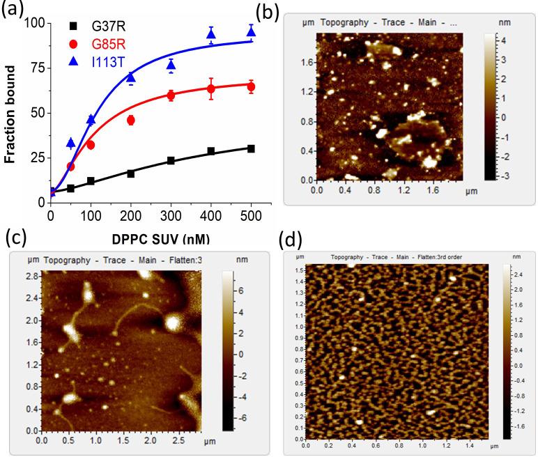 https://cdn.ncbi.nlm.nih.gov/pmc/blobs/d296/8087447/80c9cd28c0f3/elife-61453-fig5-figsupp6.jpg