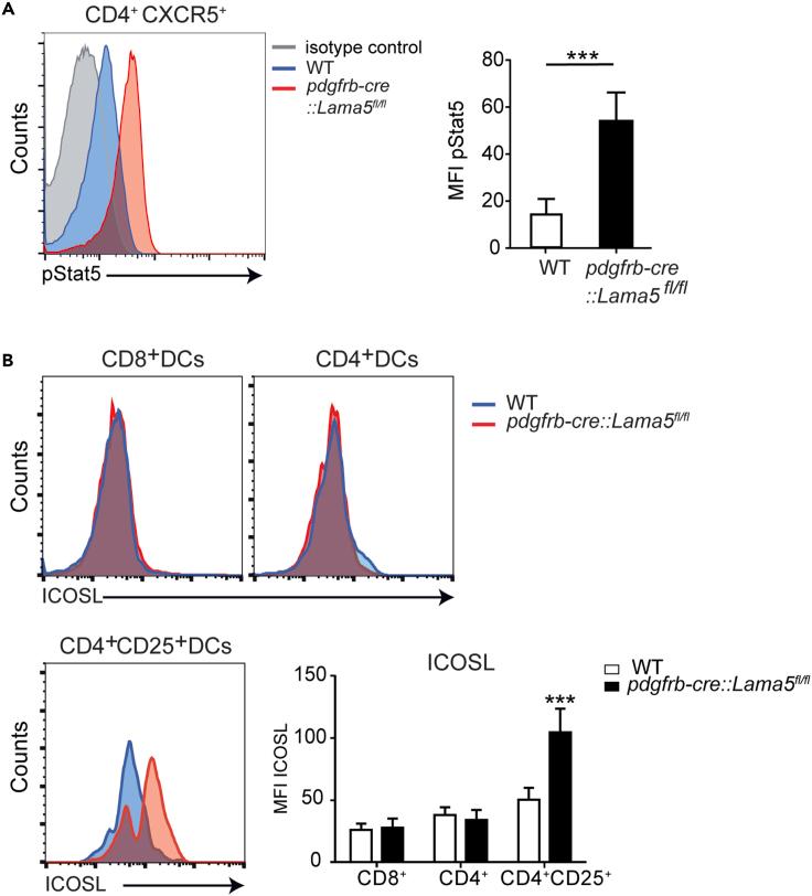https://cdn.ncbi.nlm.nih.gov/pmc/blobs/d297/10206498/21cb7bc0fb95/gr5.jpg
