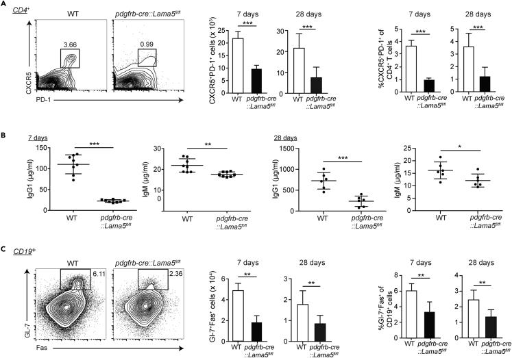 https://cdn.ncbi.nlm.nih.gov/pmc/blobs/d297/10206498/26399f0224bd/gr2.jpg