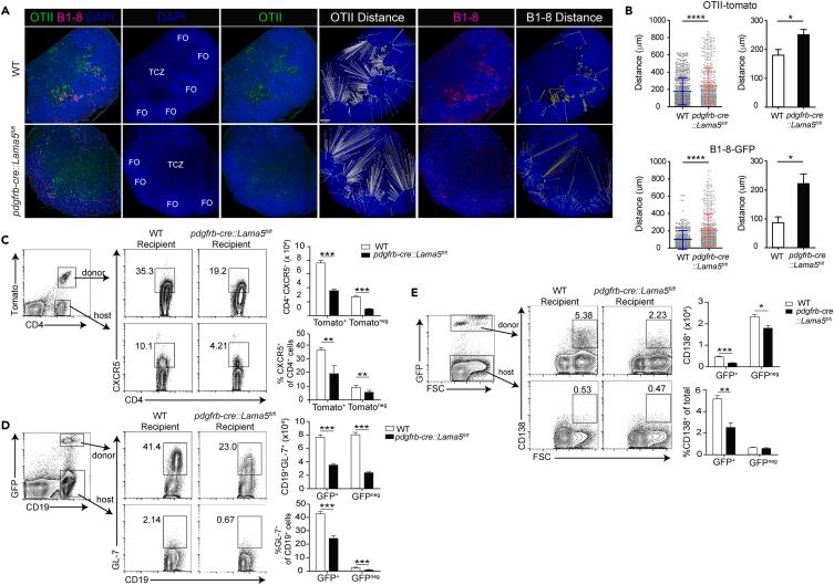https://cdn.ncbi.nlm.nih.gov/pmc/blobs/d297/10206498/3c9c15eeecfd/gr3.jpg
