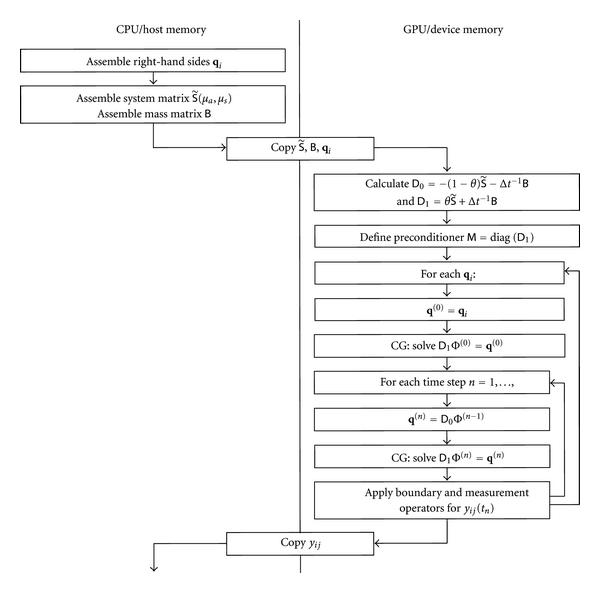 https://cdn.ncbi.nlm.nih.gov/pmc/blobs/d297/3195519/131b9bd74c56/IJBI2011-403892.002.jpg