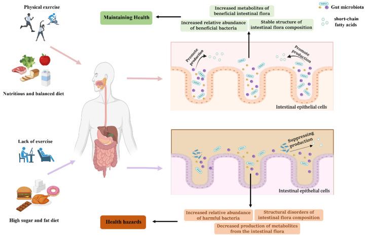 https://cdn.ncbi.nlm.nih.gov/pmc/blobs/d298/10054346/2d013fdfe6a5/nutrients-15-01539-g001.jpg