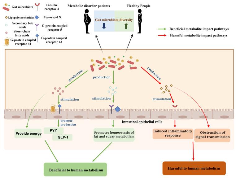 https://cdn.ncbi.nlm.nih.gov/pmc/blobs/d298/10054346/a18b158fff8b/nutrients-15-01539-g002.jpg