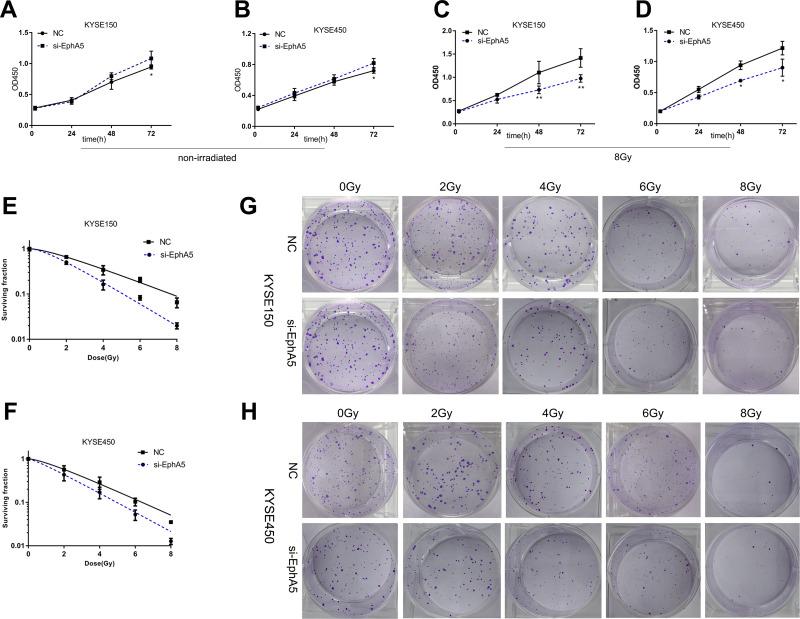 https://cdn.ncbi.nlm.nih.gov/pmc/blobs/d29d/7537809/fe16088577a6/CMAR-12-9539-g0002.jpg