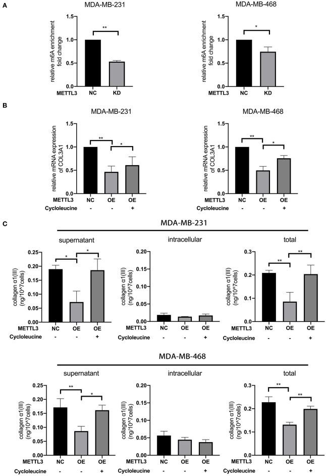 https://cdn.ncbi.nlm.nih.gov/pmc/blobs/d29e/7381173/4e7eec6b3e1b/fonc-10-01126-g0005.jpg